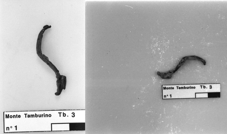 fibula di ferro tipo Certosa prima e dopo il restauro